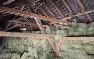 Hallenbau-Holzkonstruktion München/Aubing Hallenbau-Holzkonstruktion München/Aubing