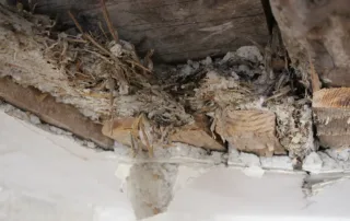 Sanierung denkmalgeschütztes Wohn- und Geschäftshaus, Landsberg am Lech